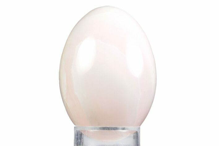 Polished Banded Pink Mangano Calcite Egg - Fluorescent! #356239